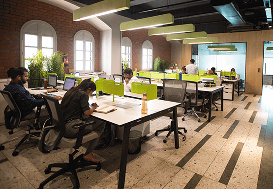 Our Work Place
